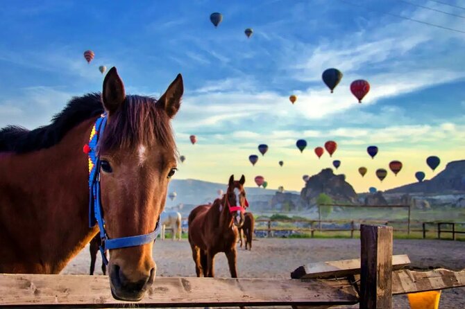 Balloon Watching Tour in Cappadocia with Hotel Pick-Up & Drop-Off - Balloon watching in Cappadocia, without the chaos