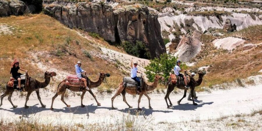 Camel Safari in Cappadocia - Who This Camel Safari Fits Best