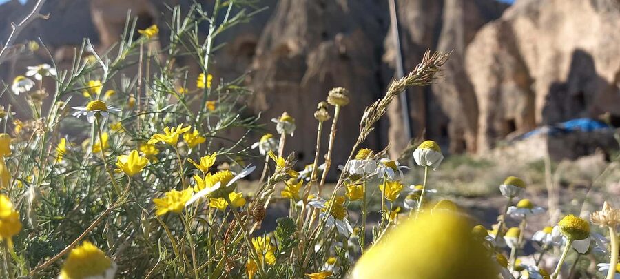 Cappadocia: Archaeological Green Tour with Expert Guide - Price and what $71 gets you in a 9-hour day