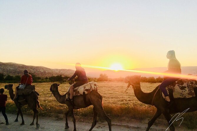 Cappadocia Camel Ride - Price and what you actually get for $55