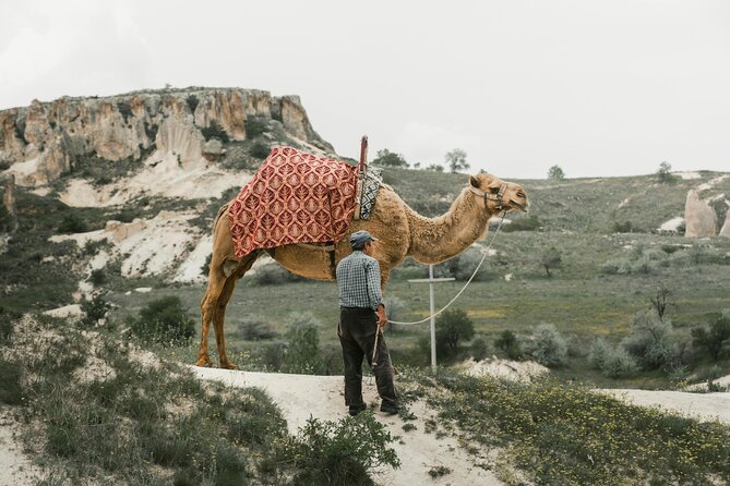 Cappadocia Camel Ride Experience with Hotel Pickup - Your Camel Ride Route: Easy Pace, Big Viewpoints