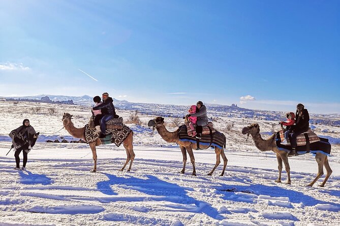 Cappadocia Camel Ride Tour - The Camel Mounting Setup: Easier Than You’d Expect