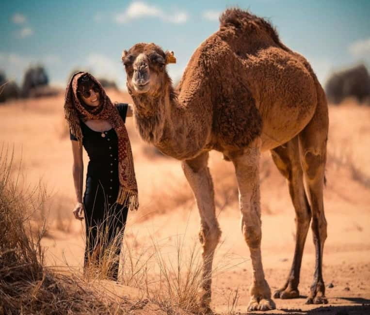 Cappadocia: Camel Safari Tour with Transfer - The Camel Ride: Fairy Chimneys and Cave Dwellings Up Close