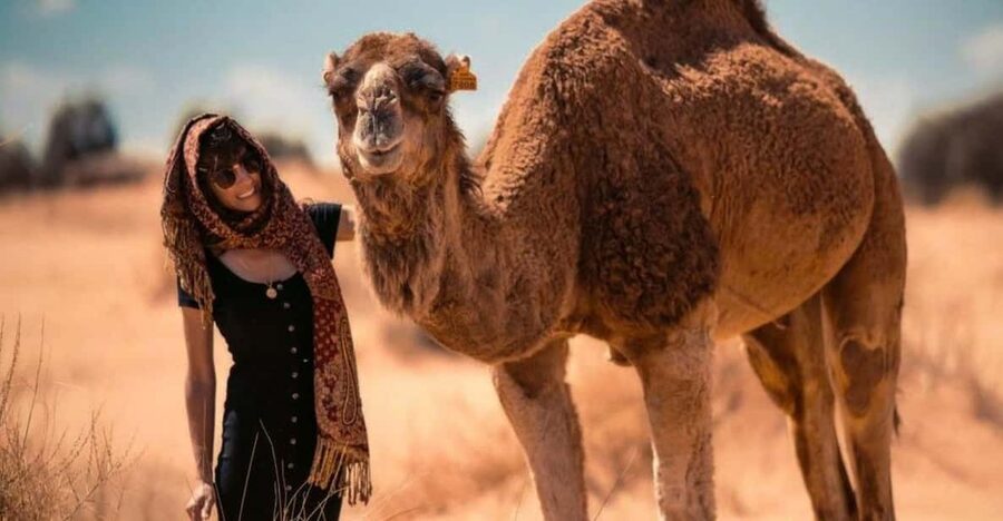 Cappadocia: Camel Safari Tour with Transfer - Price vs. Value: Is $60 Worth It?