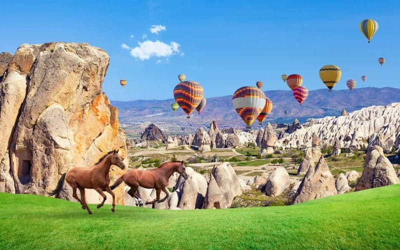 Cappadocia: Göreme Horse Riding, Fairy Chimneys w/Transfer - Horses, Comfort, and Who This Is Best For