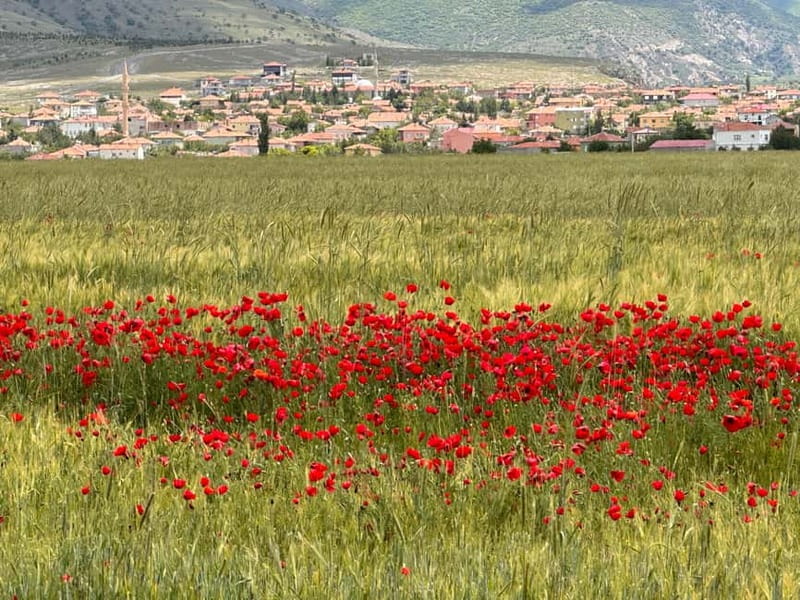 Cappadocia: Green Tour with Derinkuyu Underground City - Ihlara canyon soft hike: along the river, not just above it