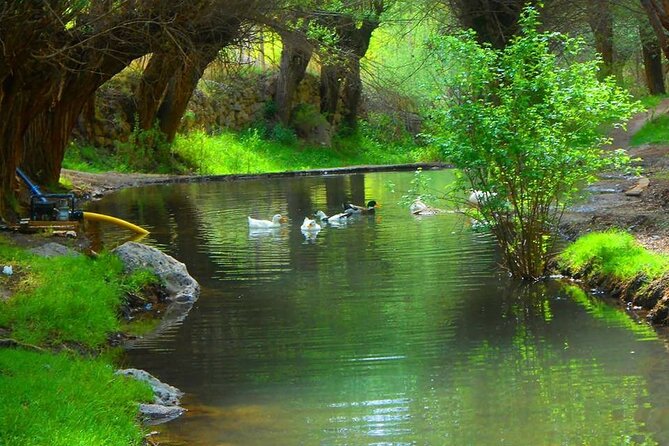 Cappadocia Guided Green Tour with Lunch & Entrance Fees - Why this Cappadocia Green Tour is a smart use of limited time