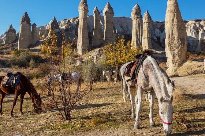 Cappadocia Horse Riding Experience Sunrise Sunset Daytime - Meeting your instructor at the ranch: safety basics and real control tips