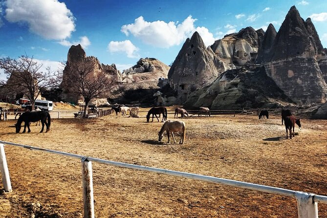 Cappadocia Horse Riding Tour: Sunrise, Sunset, 1 Hour or 2 Hours - Pacing: Relaxed Riding vs a Too-Quick Checklist Tour
