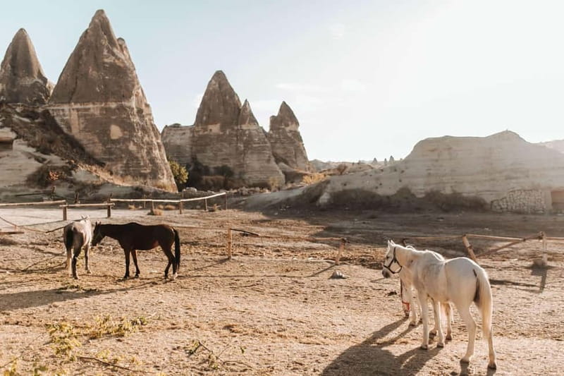 Cappadocia: Horse Riding Tour with Hotel Transfer - The 2-hour ride: what you’re really doing on the horse