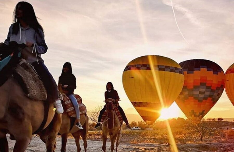 Cappadocia: Horse Safari with Hotel Transfer - Should You Book This Cappadocia Horse Safari?