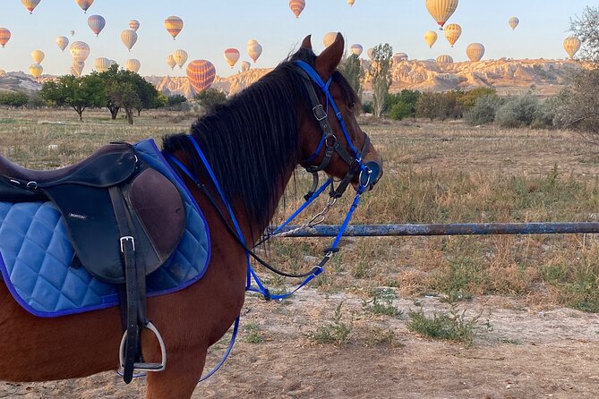 Cappadocia Horseback Ride through Valleys — Sunset/hoteltransfer - Price and value: is $36.30 a good deal in Cappadocia?