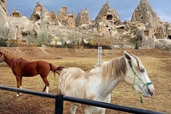 Cappadocia Horseback Riding Tour (Transfer Included) - The pre-ride tutorial is the whole point for first-timers