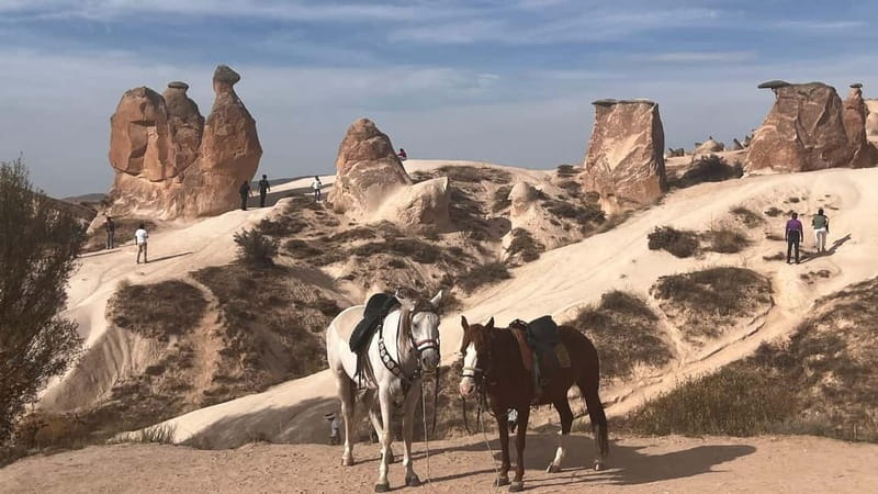 Cappadocia Private Combined Tour with Lunch - Paşabağ (Monks Valley): The Best Fairy Chimney Collection Feeling