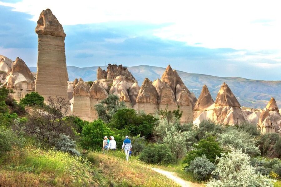 Cappadocia: RED & GREEN MIX TOUR - Getting Around: Pickup, Mercedes-Benz Vito, and a Day That Starts on Time