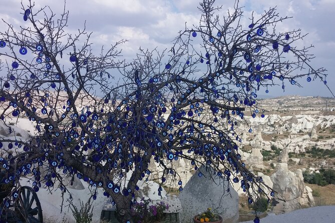 Cappadocia Red Tour: A Day of Exploration with an Expert Guide - Göreme Panorama and the Open-Air Museum: Views Plus Cliffside Churches