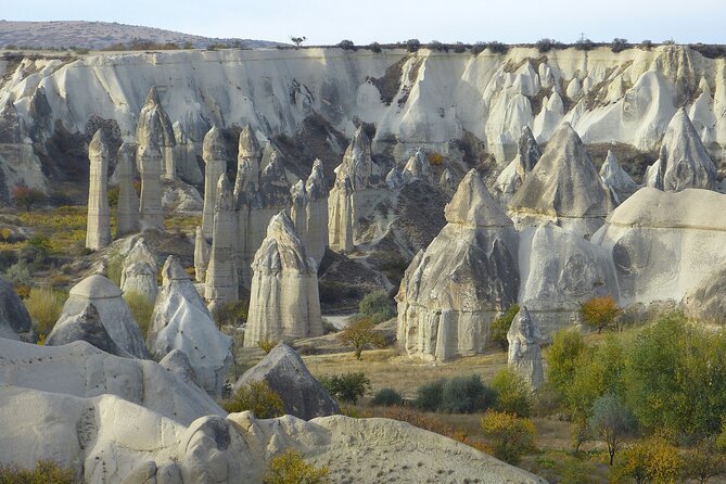 Cappadocia Red Tour + Lavender Garden - Devrent Valley: animal shapes and quick fairy chimney spotting