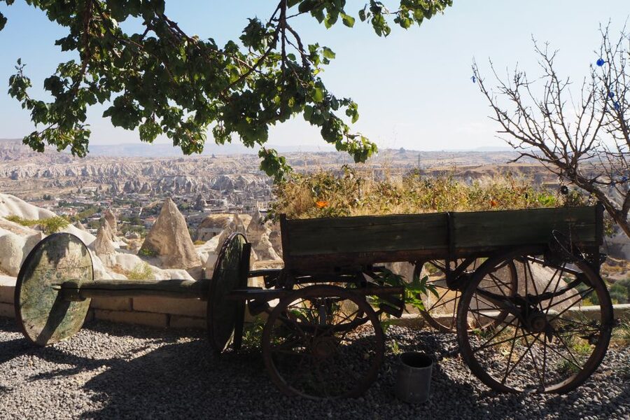 Cappadocia: Small-Group Red Tour, Open Air Museum with Lunch - Devrent Valley: imagination mode for animal-shaped rocks