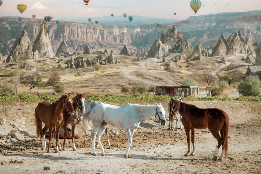 Cappadocia: Sunset Horseback-Riding Tour - Church of the Cross and Rock-Carved Stops: What to Watch For