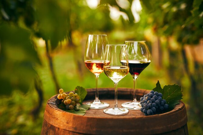 Cappadocia Wine Tasting Experience - Cheese and local delicacies: how the pairing helps you taste the difference
