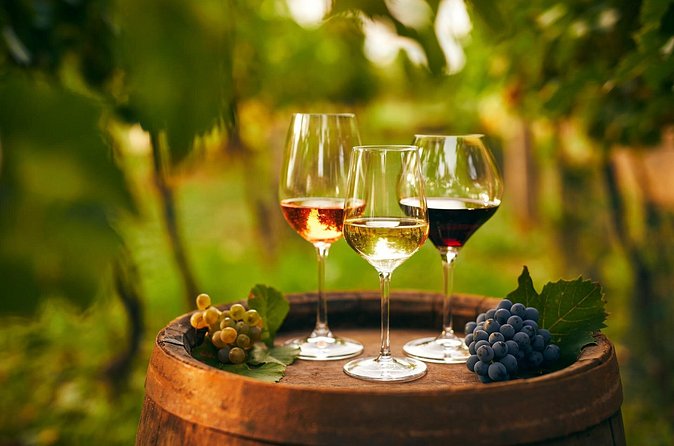 Cappadocia Wine Tasting Experience - Panoramic valley views without turning it into a long day