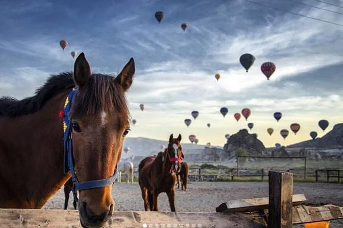 Daily Cappadocia Red and Underground Tour - Göreme Open-Air Museum: The Rock-Cut Churches That Start the Story