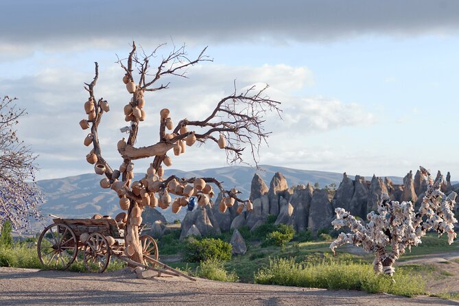 Full Day Cappadocia Red Tour (With & Without Museum and Lunch) - The value: why this Red Tour makes sense for one packed day