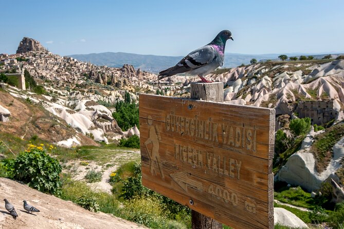 Full Day Private Cappadocia Tour (Guide & Driver) - Uchisar Castle: the biggest rock-cut fortress stop (and free entry)