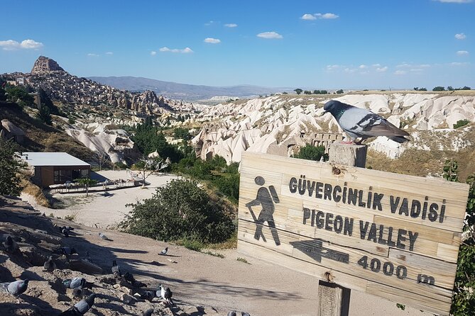 Half Day Private Underground City Tour - Key Highlights You’ll Actually Care About