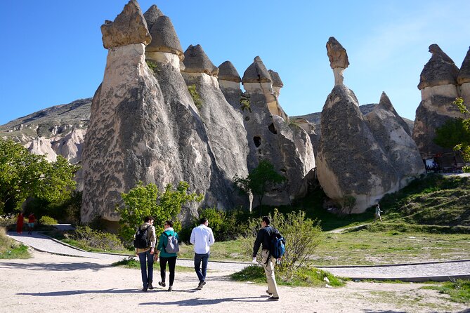 Highlights of Cappadocia All in One Tour - Devrent Valley and Ortahisar Castle: rock formations you can read