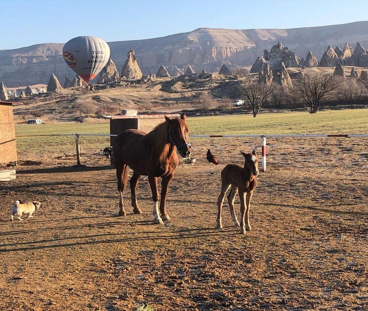 Istanbul: 2-Day Trip to Cappadocia with Flights & Lunchs - Should You Book This Istanbul to Cappadocia 2-Day Trip?
