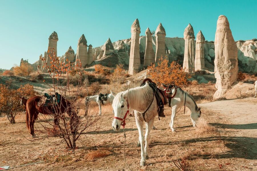 Istanbul to Cappadocia All Inclusive Private Day Tour - Key highlights worth your attention