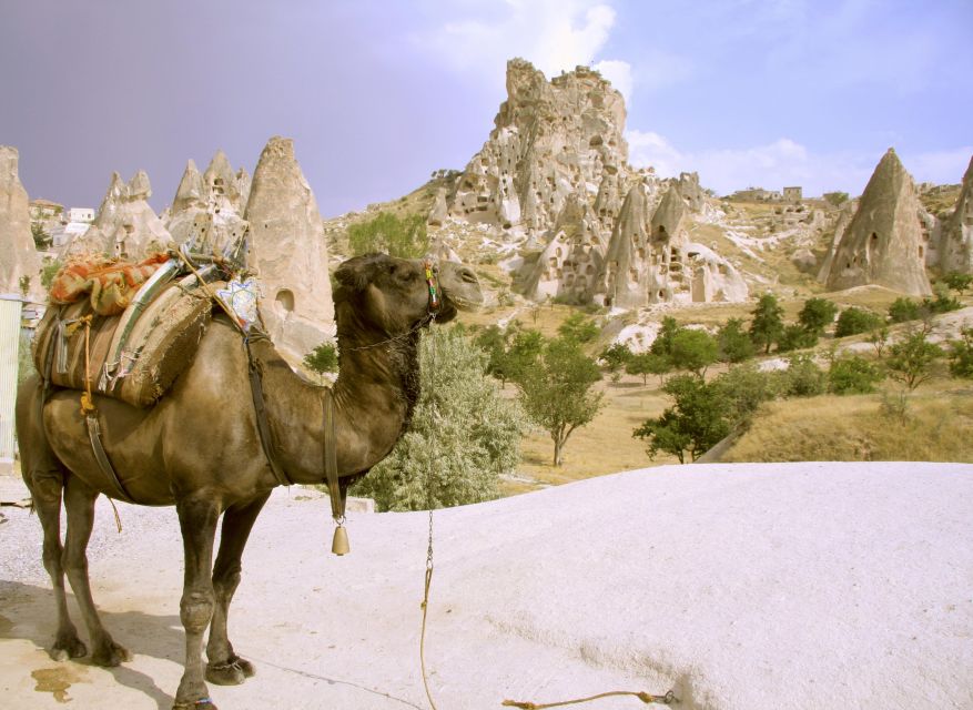 Istanbul to Cappadocia All Inclusive Private Day Tour - Should you book this tour?