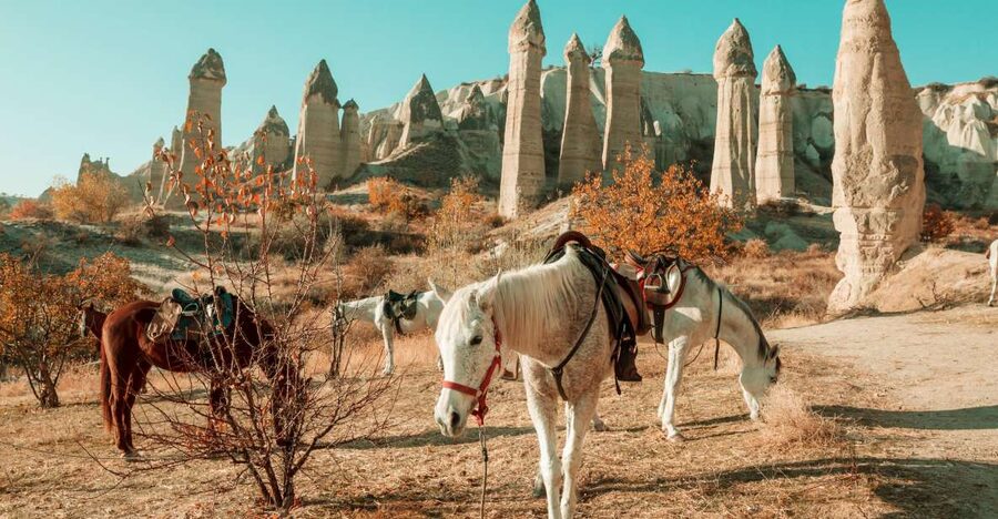 Istanbul to Cappadocia All Inclusive Private Day Tour - A 17-hour speed run from Istanbul to Cappadocia