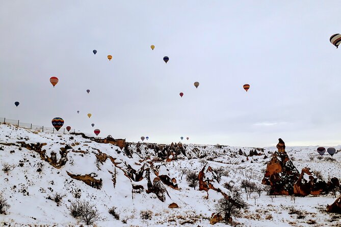 Multi Language Private Tour in Cappadocia - Devrent Valley: imagination rock shapes and the classic camel