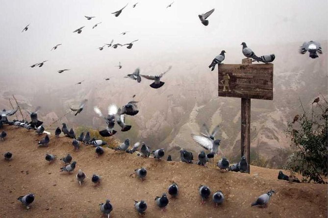 NO HIDDEN COST: Cappadocia Red Tour LUNCH+ENTRY TICKETS - Pasabag and the Monks Valley fairy chimneys (why this stop is the headline)
