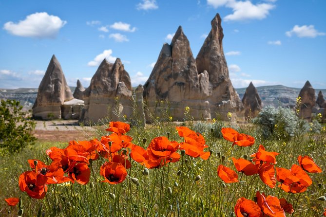 Private Cappadocia Tour w/Chimneys and Goreme Open Air Museum - Devrent Valley: animal-shaped rocks and a short, easy start