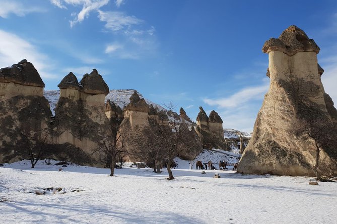 Private guide in Cappadocia, Turkey - Goreme National Park: Valley of Imagination, Paşabağ, Avanos, and Viewpoints