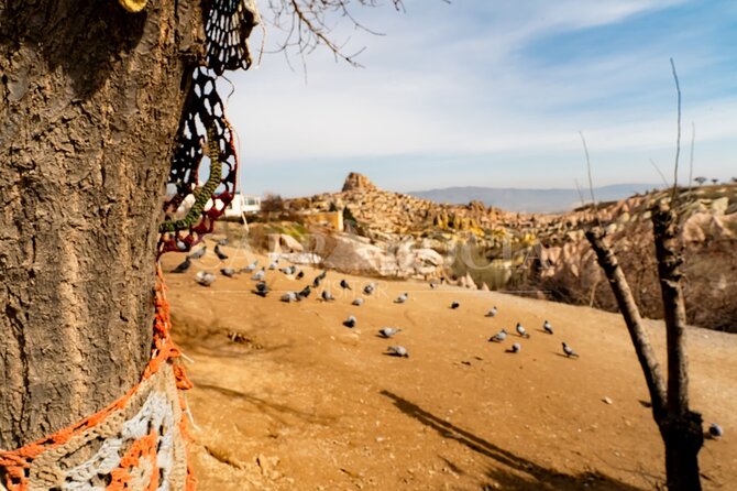 Red and Green Combination Tour Mix Tour - Stop 2: Pigeon Valley for dovecotes and quiet storytelling