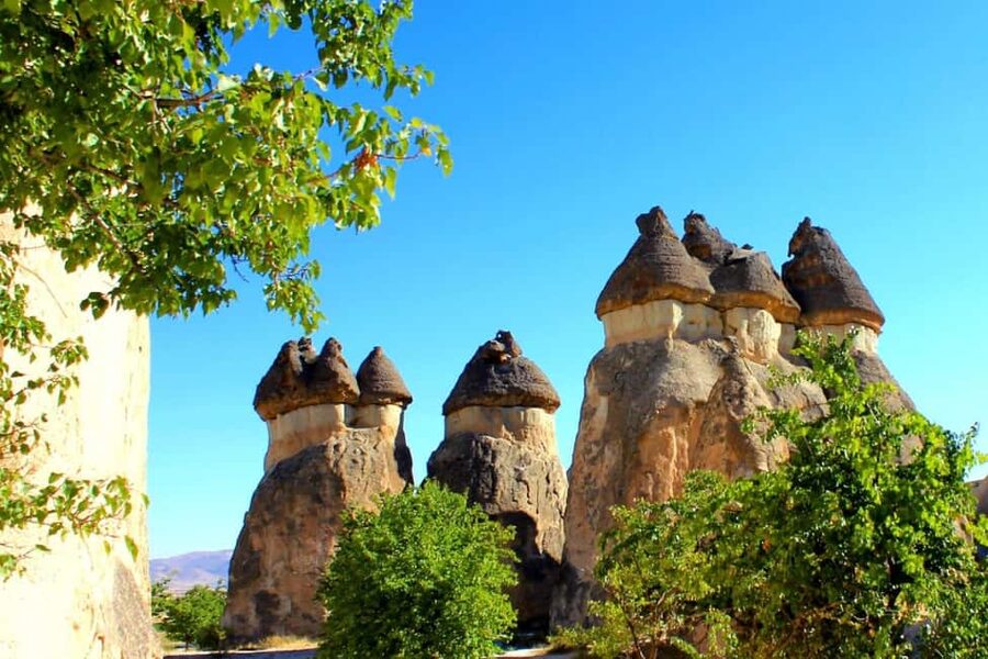 Red Tour Cappadocia (small group) w/ Göreme Open Air Museum - The Göreme panorama break before you climb into the views