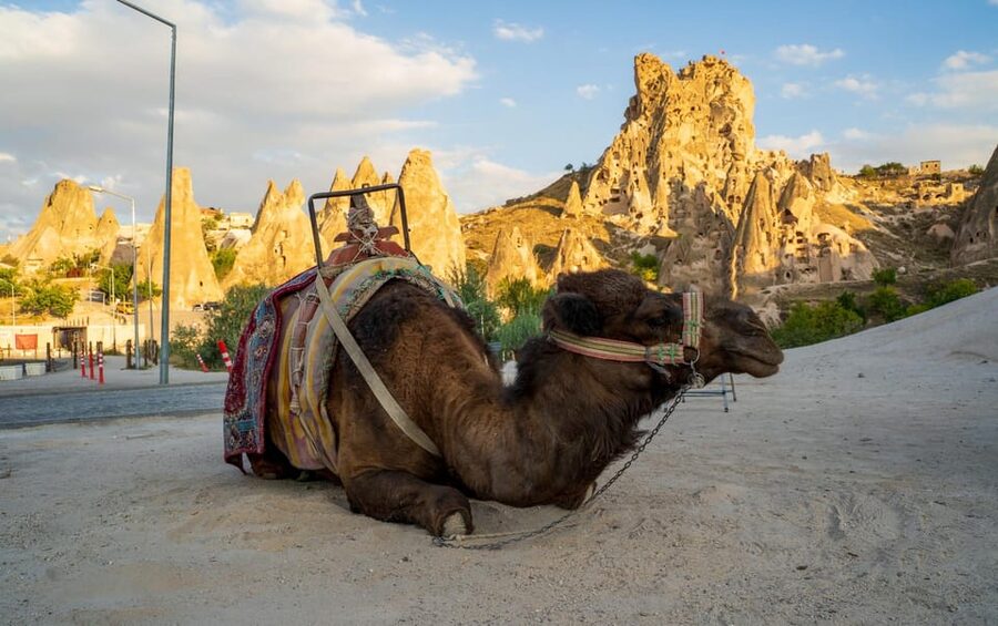 Sunrise and Sunset Camel Ride with Stunning Cappadocia Views - The Light-Hour Experience: How the Ride Turns Golden at Dawn or Dusk