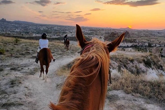 Sunset Horsebackriding-Tour through the Valleys of Cappadocia - Horses and handling: what to expect, especially if it’s your first ride