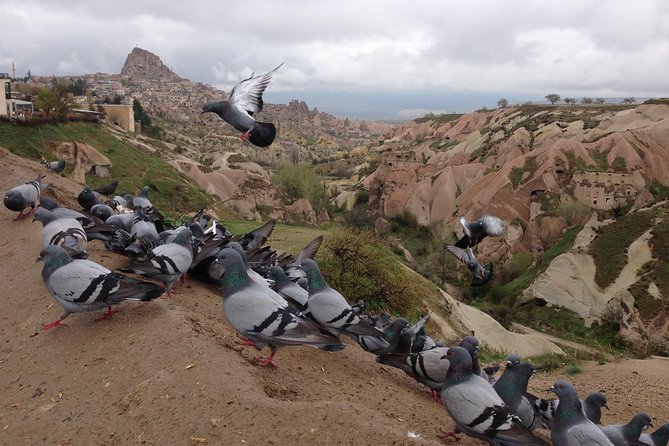 Tour of Highlights of Cappadocia with Lunch - Pasabag and Monks Valley fairy chimneys: the rock formations that still work as art