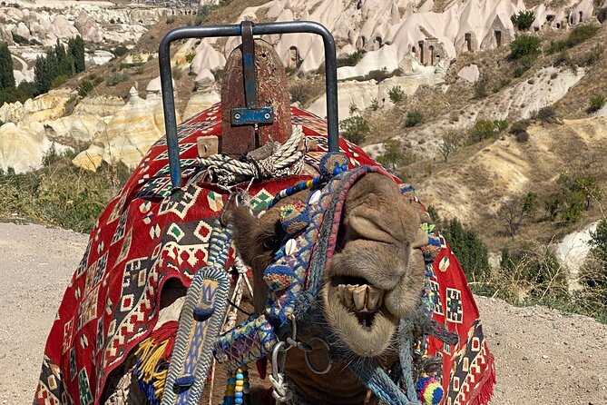 Ultimate Cappadocia Red Tour - Stop 3: Love Valley for fast, fun rock-formation photos